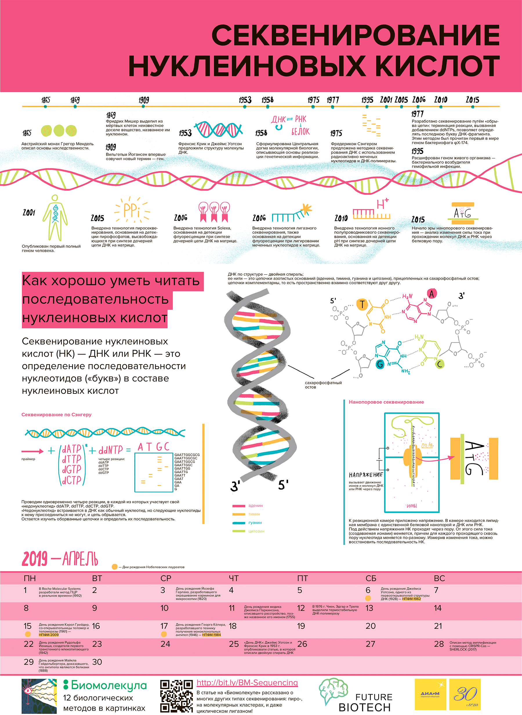 Календарь «12 методов биологии» на 2019 год, апрель