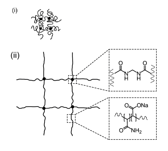 Cхема структуры полиэлектролитного геля
