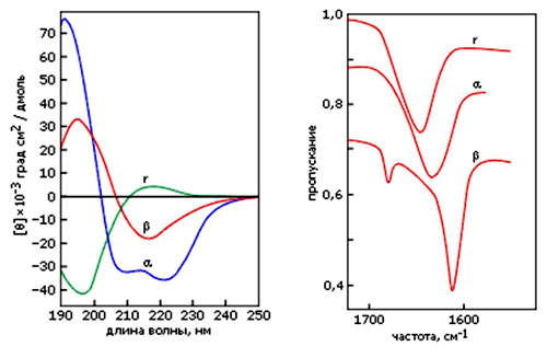 Сравнение спектров поглощения трех конформаций полилизина