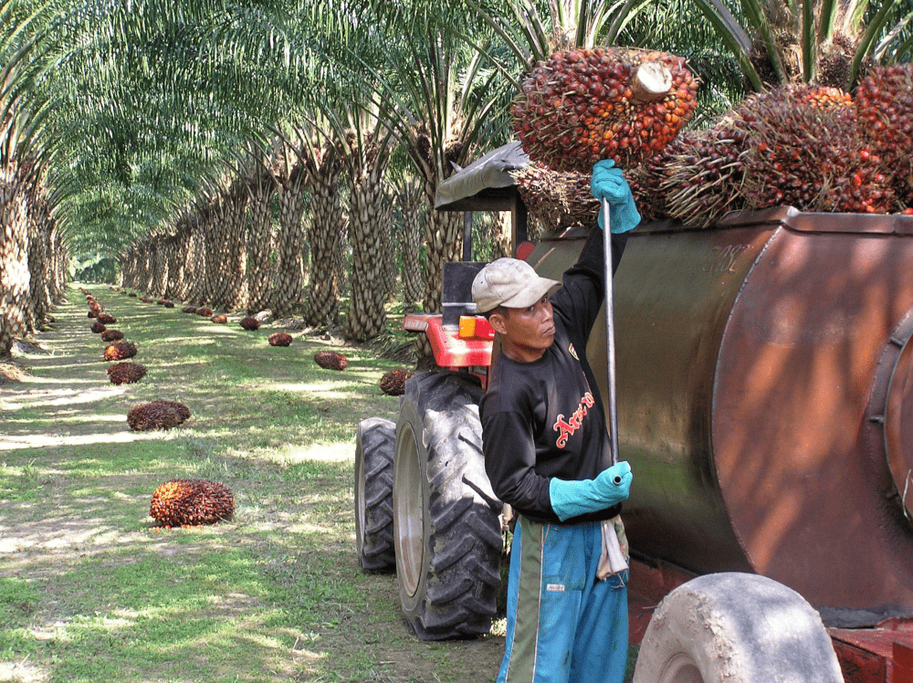Рабочий в Малайзии