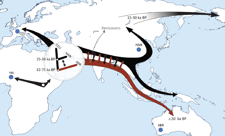 Реконструкция маршрута ранних миграций основных групп человечества