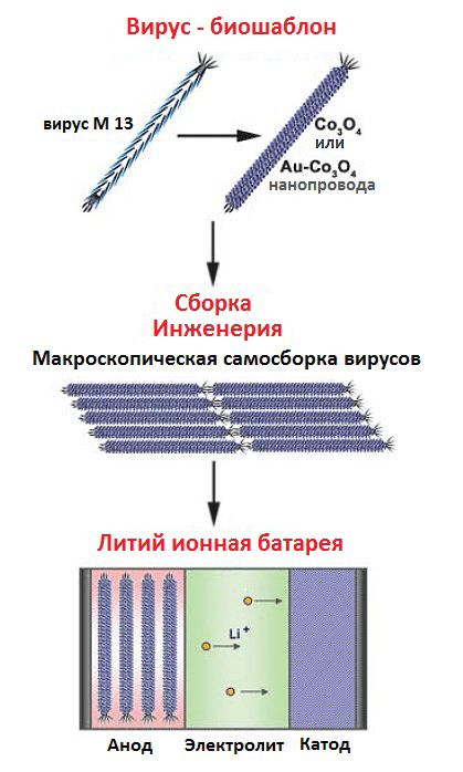 Схема синтеза и сборки нанопроводов