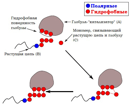 Механизм образования полимера из мономеров