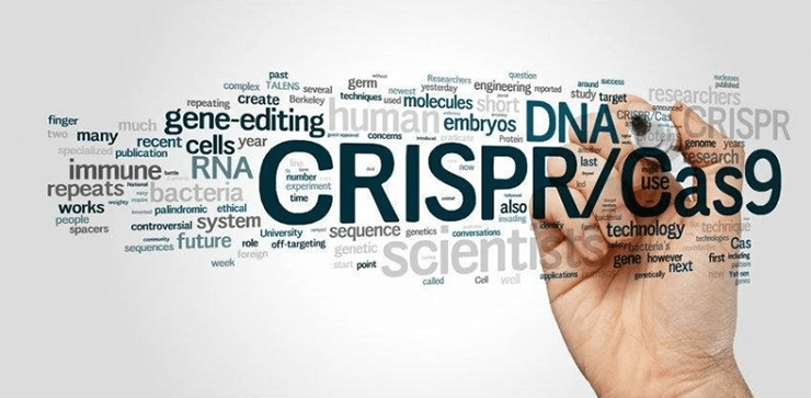 Безграничные возможности CRISPR/Cas9