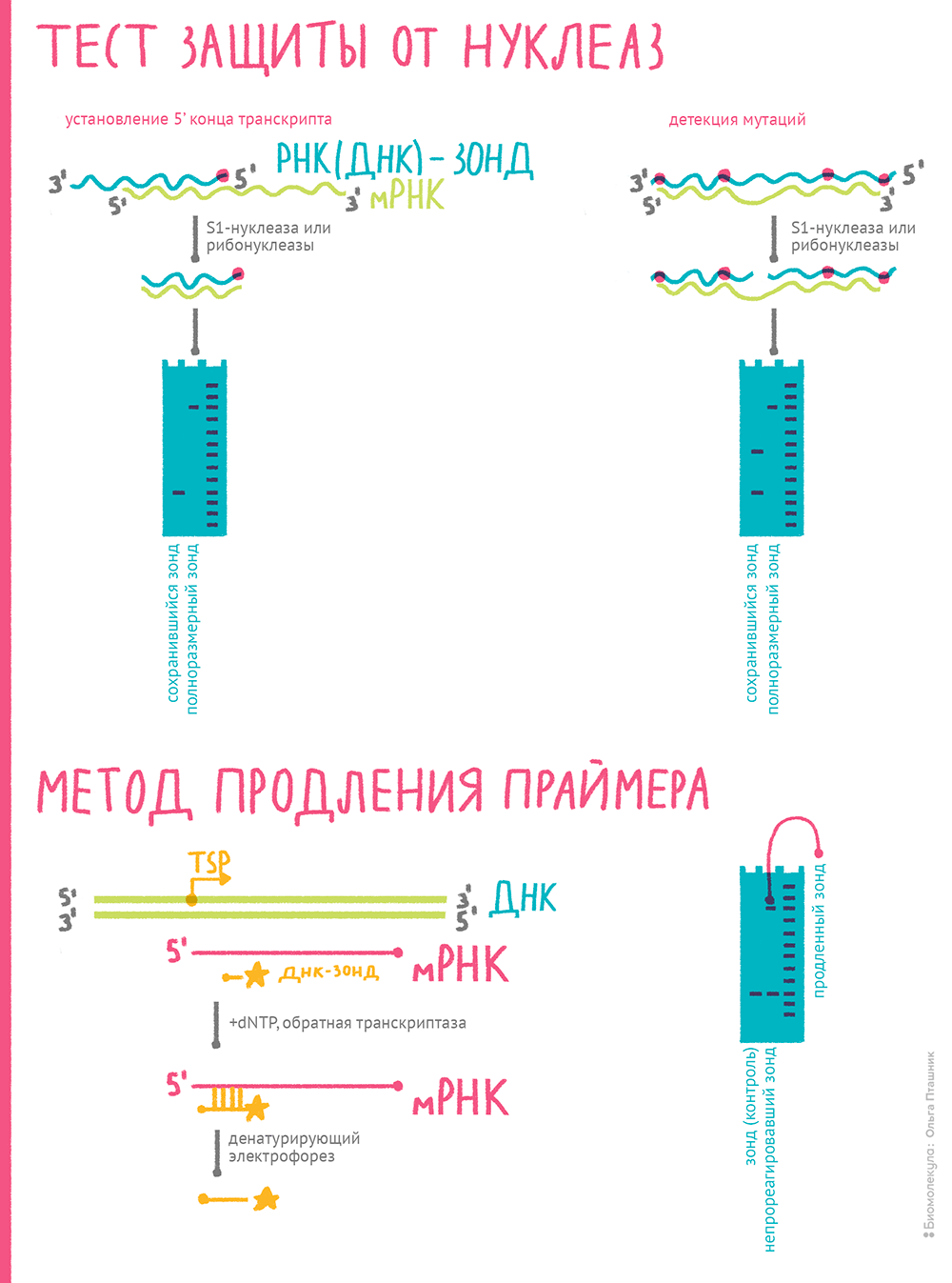 Методы картирования РНК