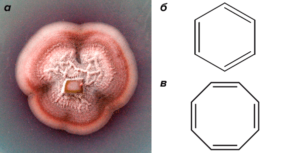Gliocladium roseum, бензол и аннулен