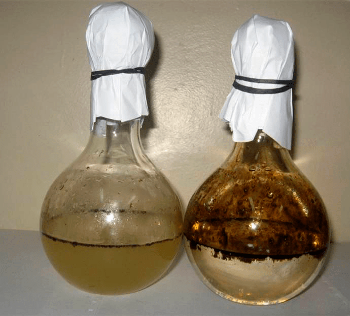 Пример эффективности бактерий-нефтедеструкторов