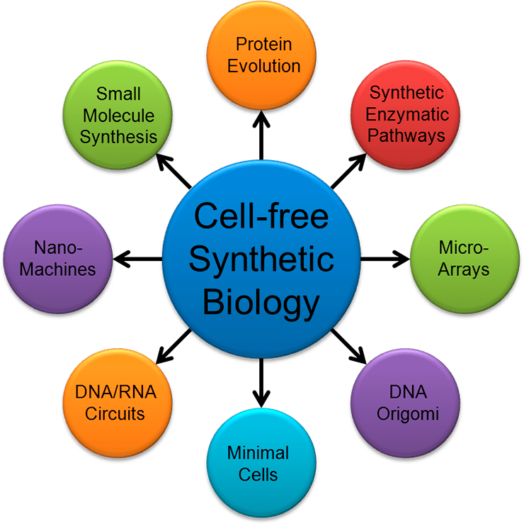 Потенциальное применение синтетической биологии