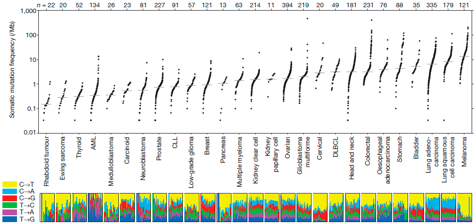 Количество мутаций в различных типах опухолей