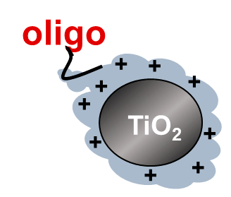 TiO2~oligo