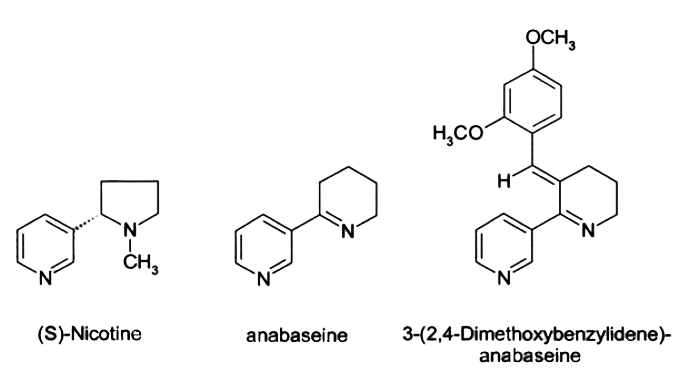 Структура никотина, анабазеина и DMXBA