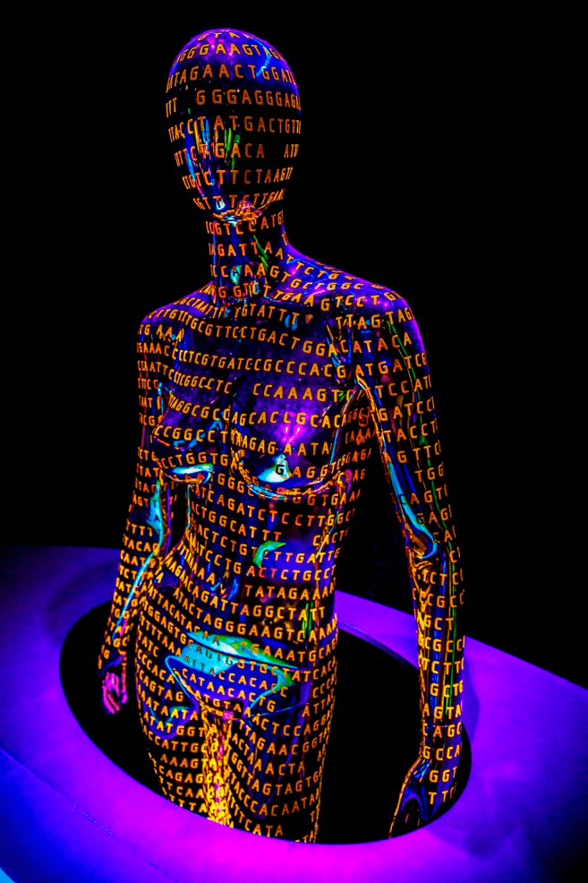 Арт-проект на выставке «Геном — расшифровка кода жизни»