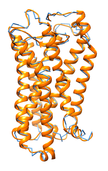 Моделирование тромбоксанового рецептора мыши