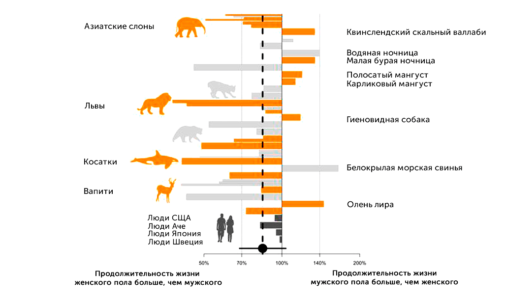 Половые различия в продолжительности взрослой жизни млекопитающих
