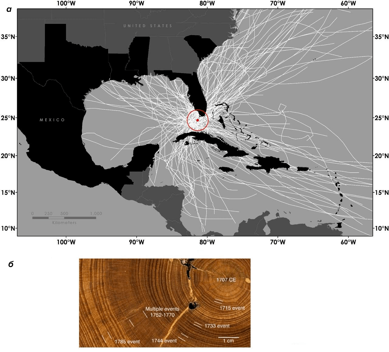 Картирование циклонической деятельности в Карибском море