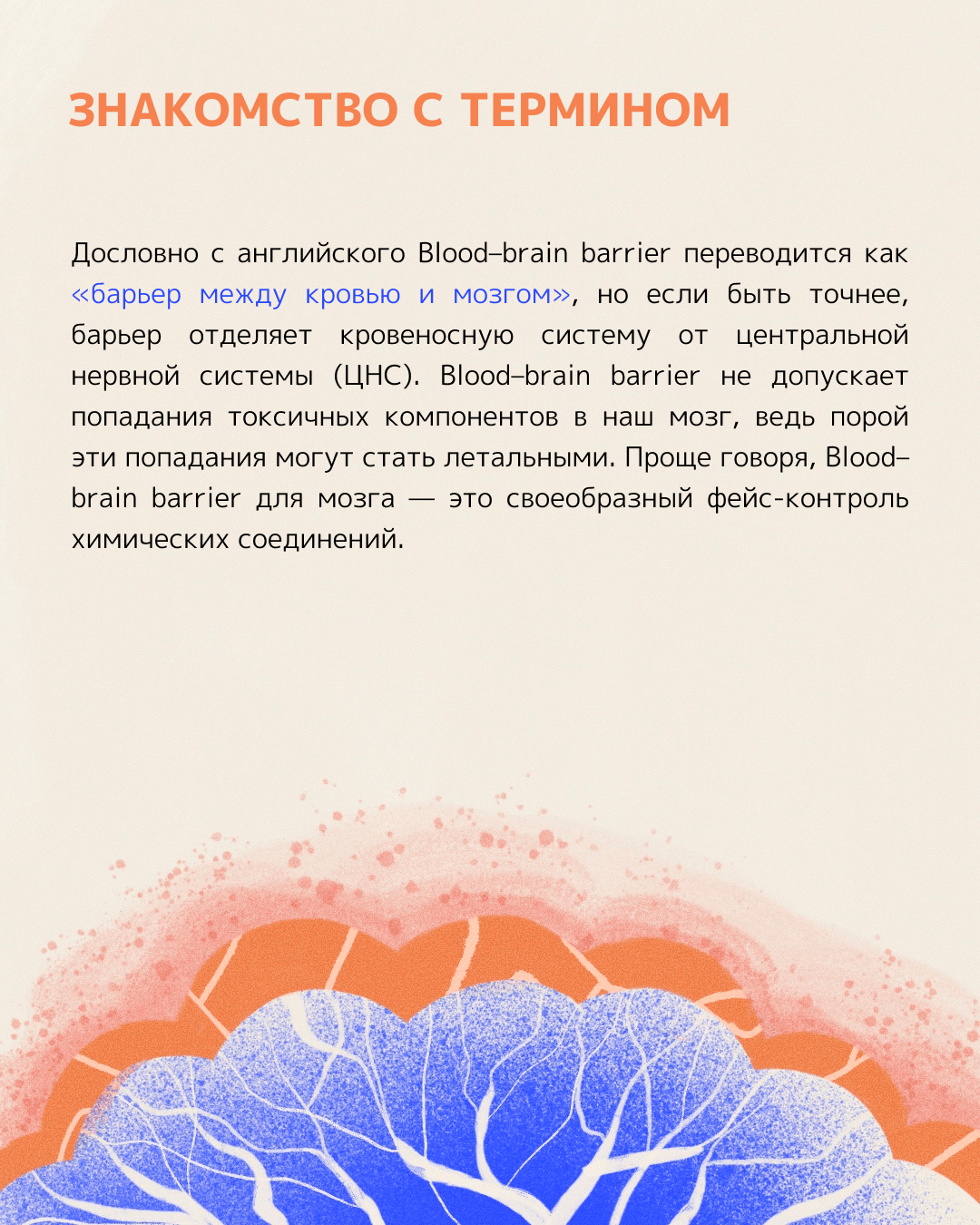 Анна Степакова.Blood-brain barrier