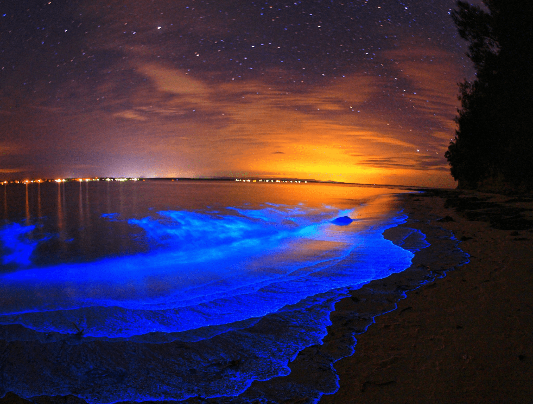 Биолюминесценция планктона в знаменитом заливе Баия Биолуминиссенте, Коста Рика