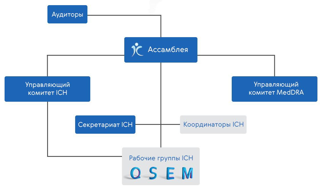 Структура управления ICH