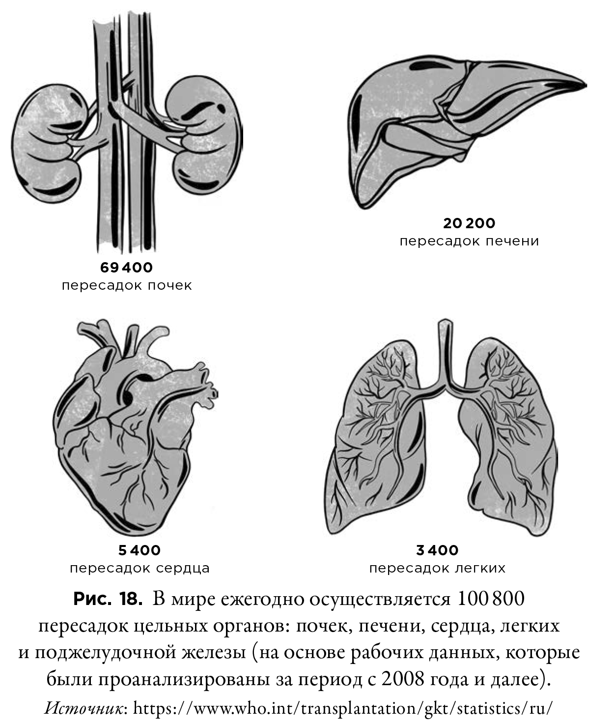 Инфографика про трансплантацию органов
