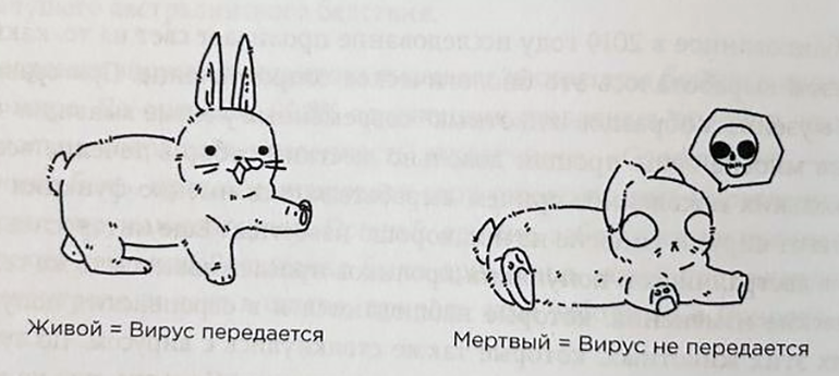 Иллюстрации из книги