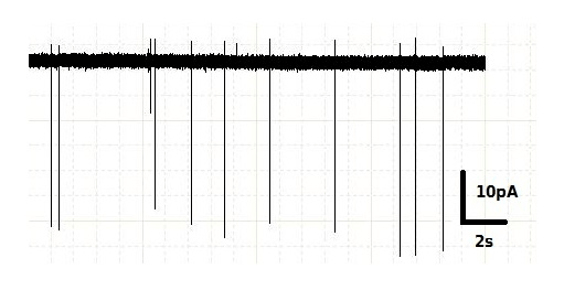 Пример записи, получаемой при электрофизологической регистрации активности нейрона