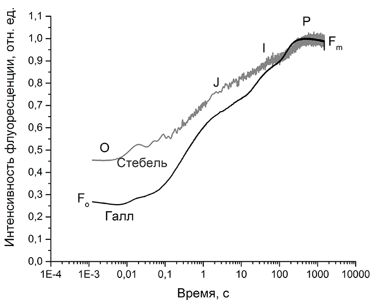 Кривая индукции флуоресценции галла