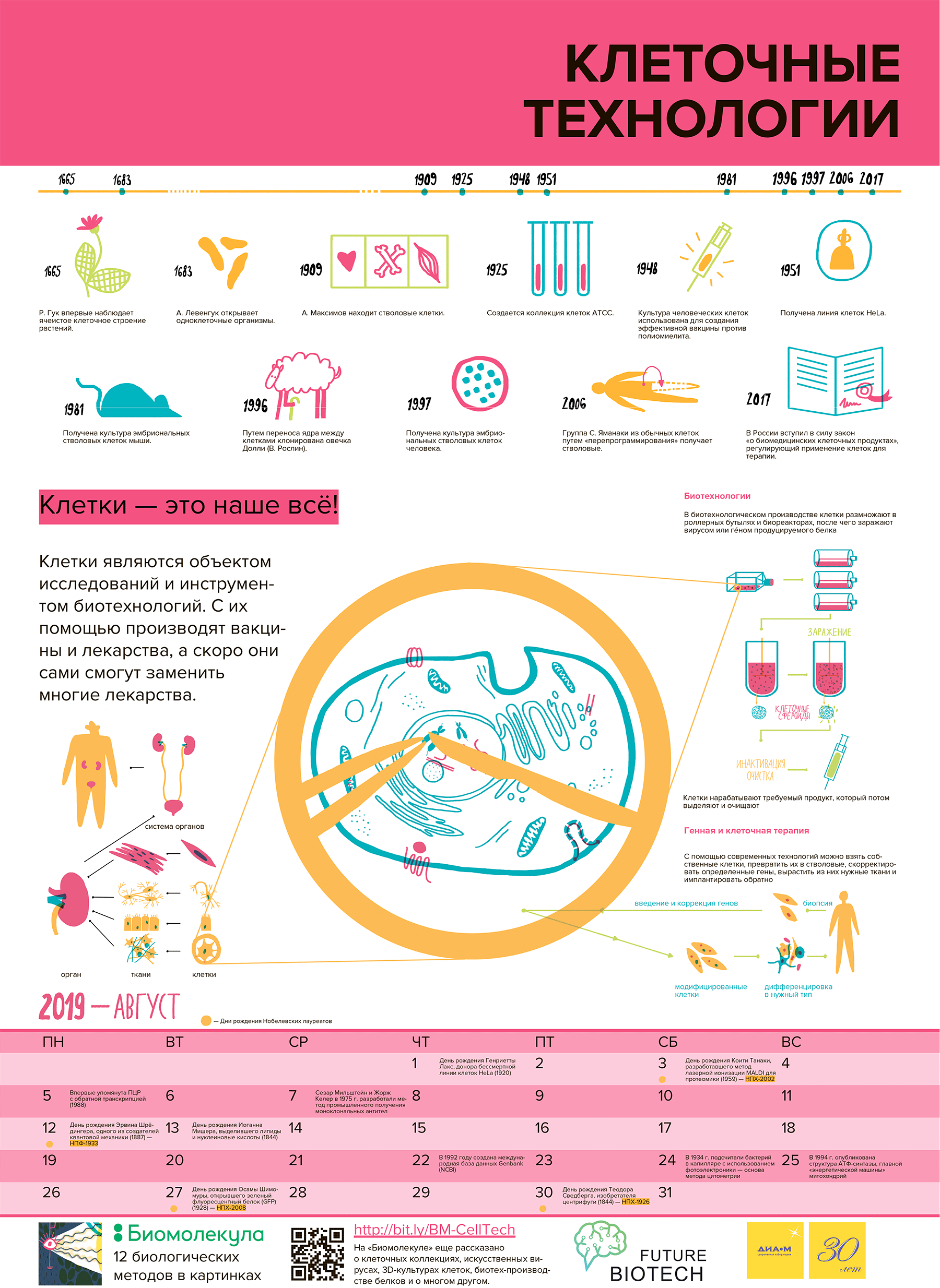 Календарь «12 методов биологии» на 2019 год, август