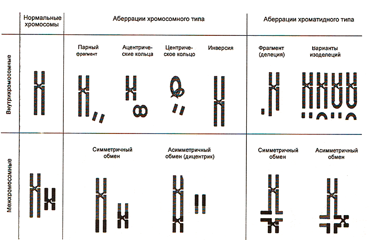 Основные типы аберраций хромосом