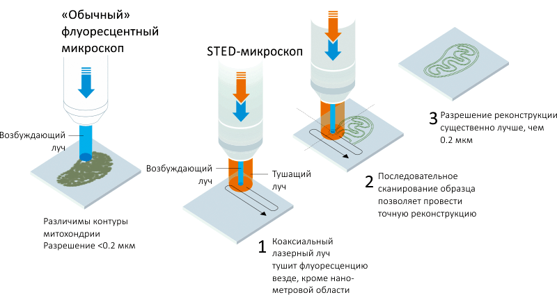 STED-микроскопия