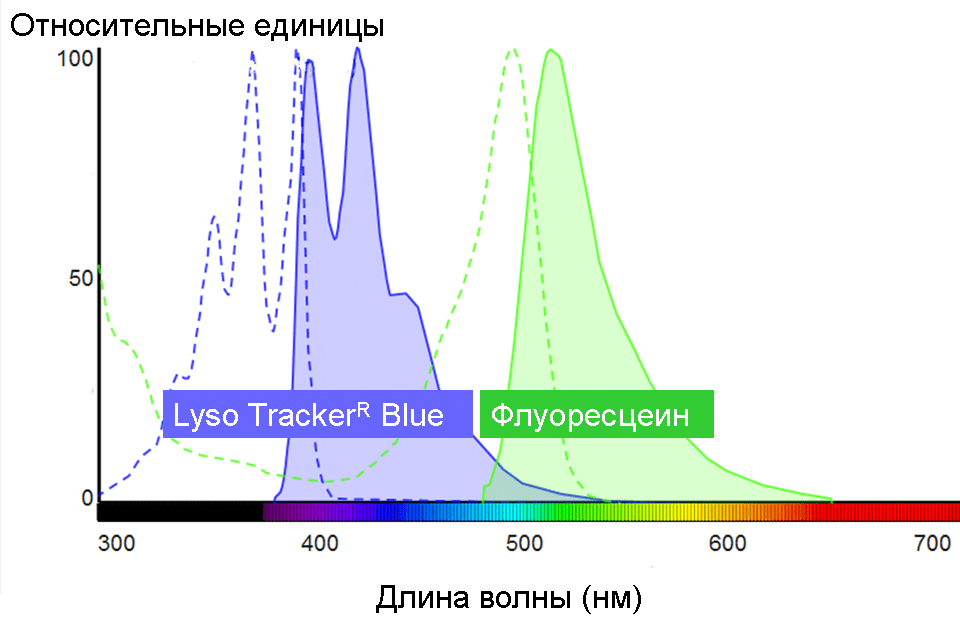 Спектры поглощения и флуоресценции флуоресцеина