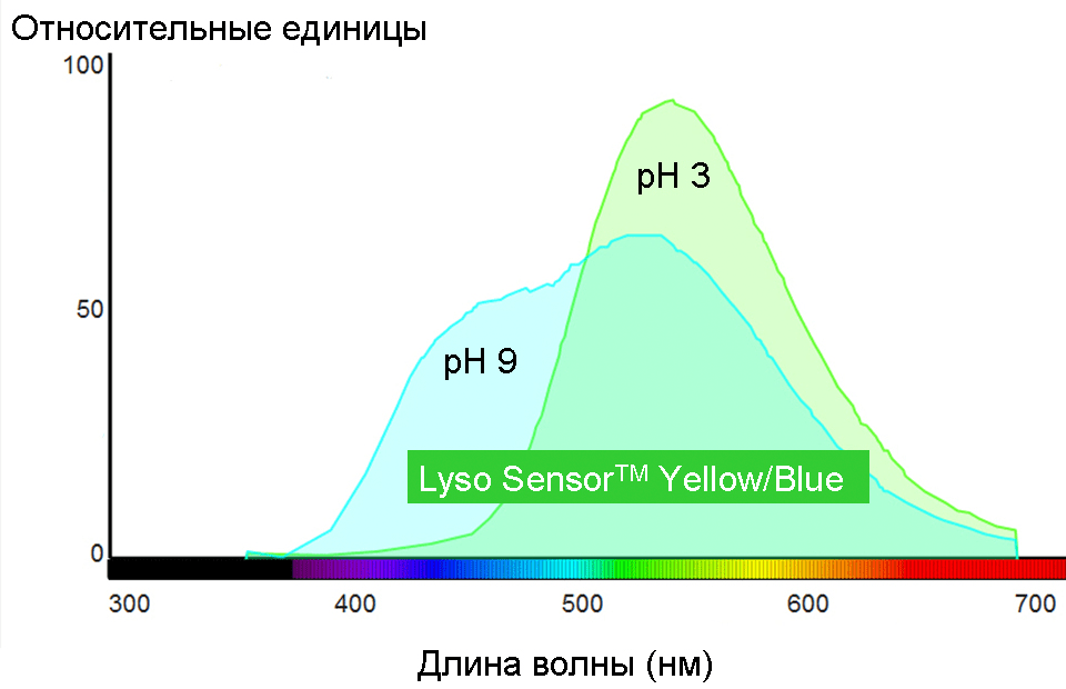 Спектры флуоресценции при рН 3 и 9