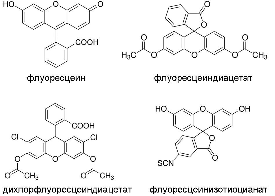 Структурные формулы флуоресцеина и некоторых его производных