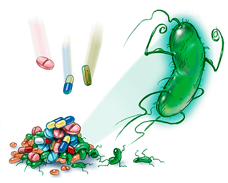 Устойчивость бактерий к антибиотикам