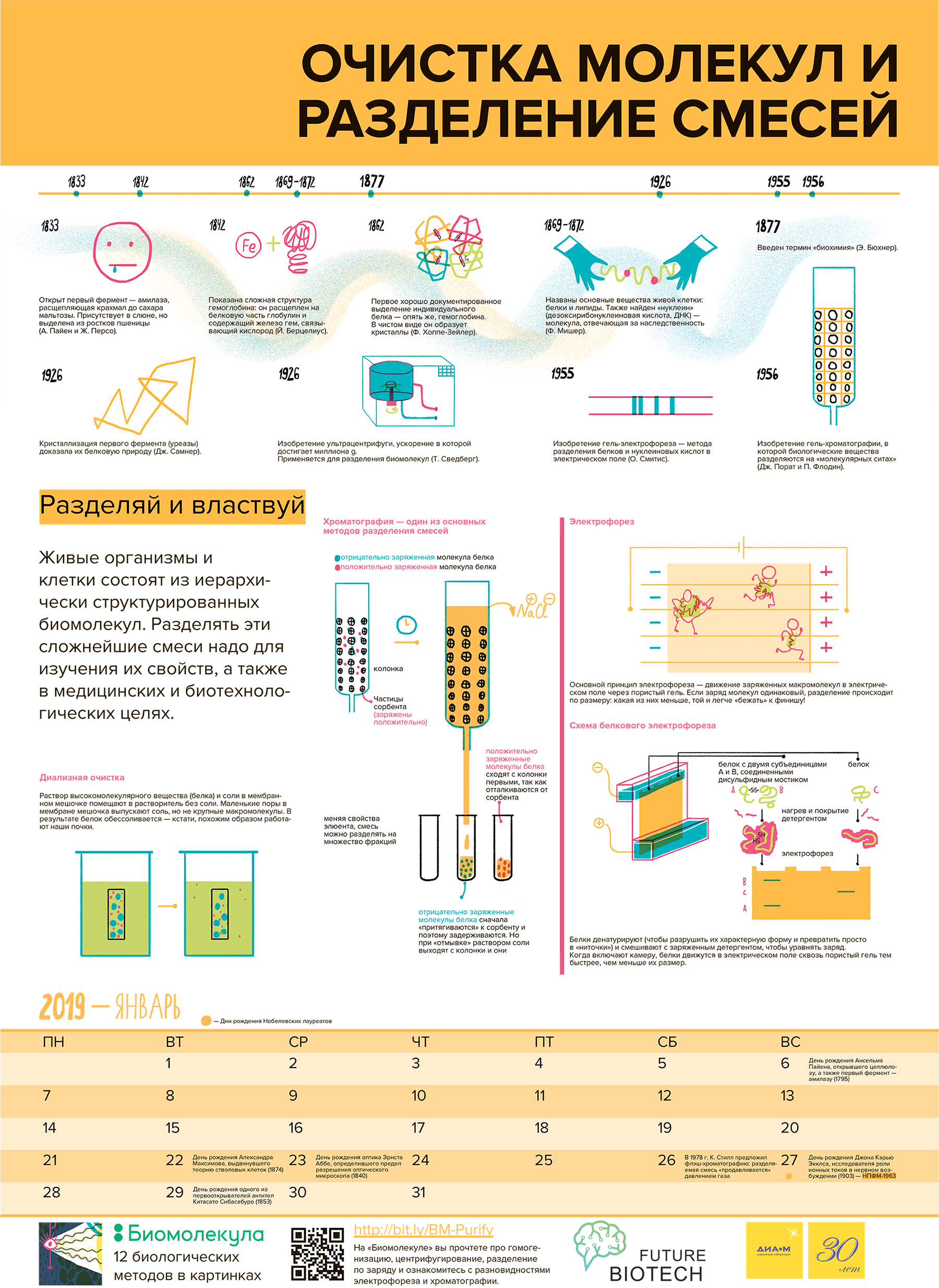 Календарь «12 методов биологии» на 2019 год, январь