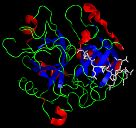 Cтруктура комплекса тромбин-гирудин