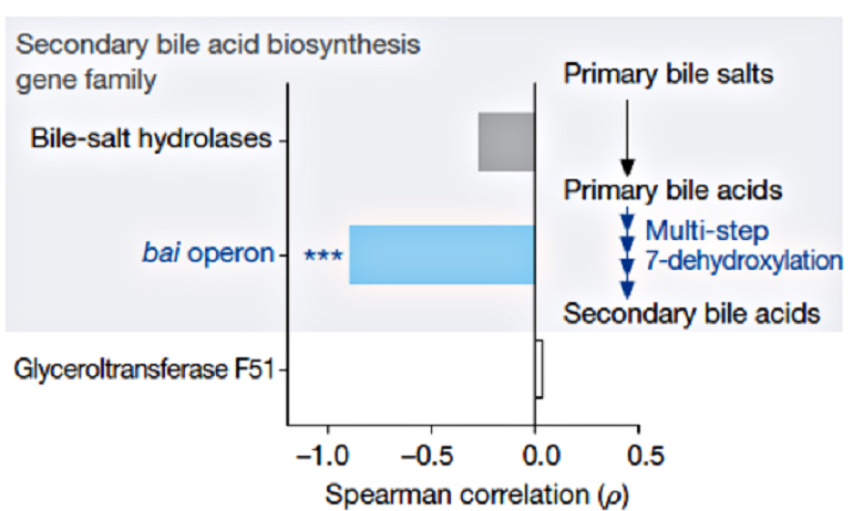 Устойчивость к клостридиям и гены синтеза вторичных желчных кислот