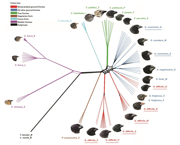 Fig.2