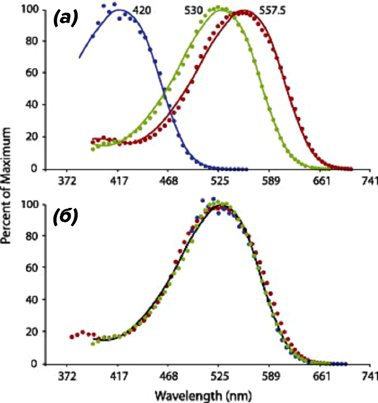 Спектры восприимчивости трех зрительных белков