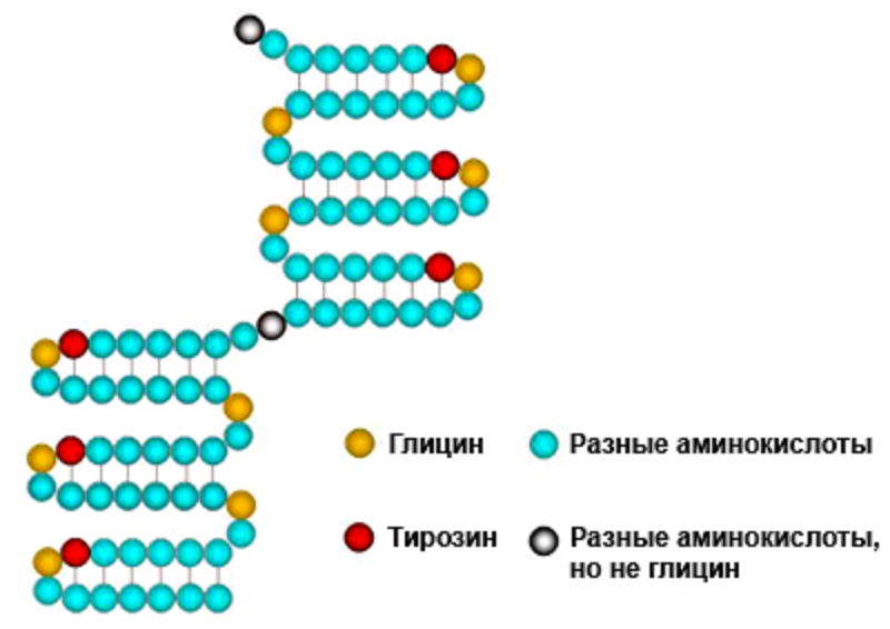 Центральная часть белка INA