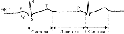 Схема электрокардиограммы