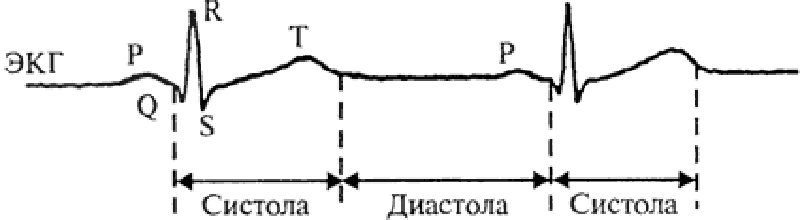 Схема электрокардиограммы Схема электрокардиограммы