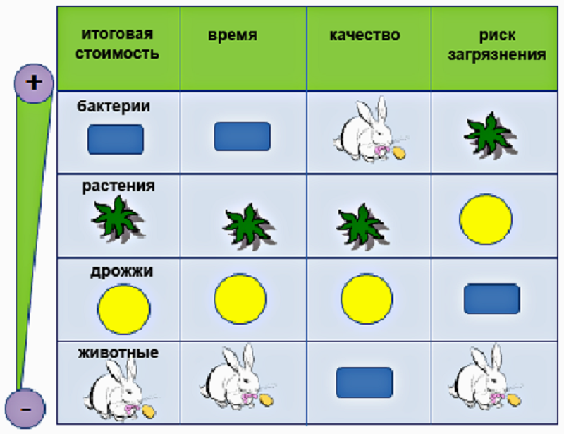 Сравнение систем продукции рекомбинантных белков Сравнение систем продукции рекомбинантных белков