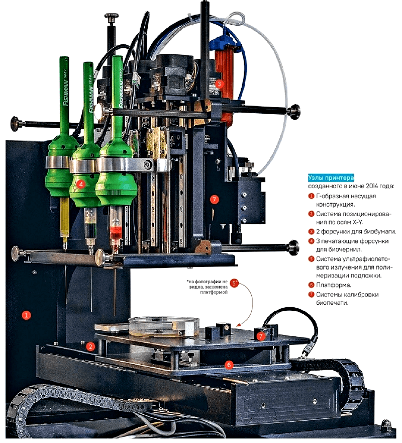 Биопринтер компании 3D Bioprinting Solutions