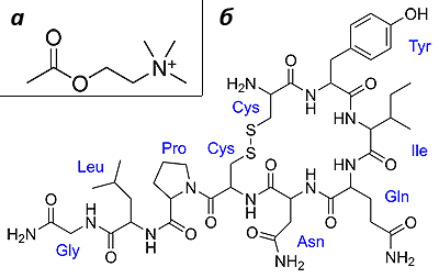 Структурные формулы ацетилхолина и окситоцина
