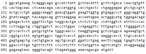 Пример «прочтенной» последовательности ДНК