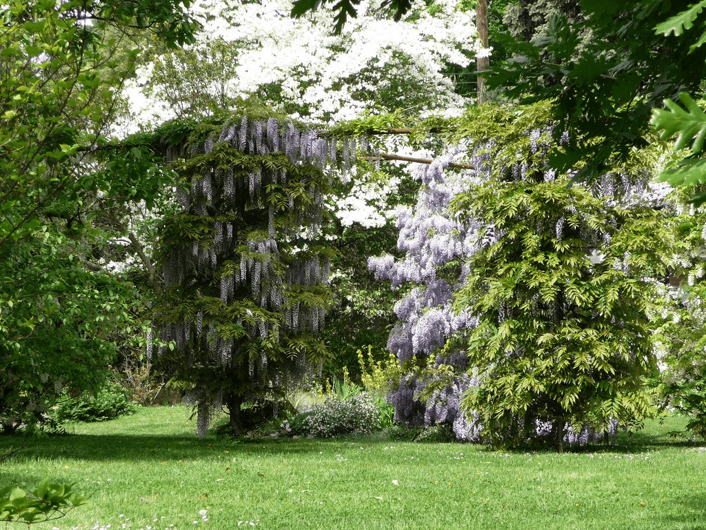 Ботанический сад в Женеве