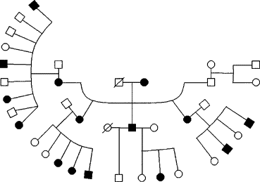 Генеалогическое древо семьи KE