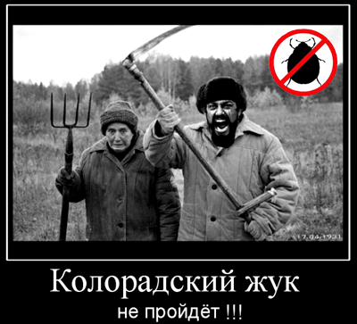 Двухцепочечная РНК защищает трансгенные растения Двухцепочечная РНК защищает трансгенные растения