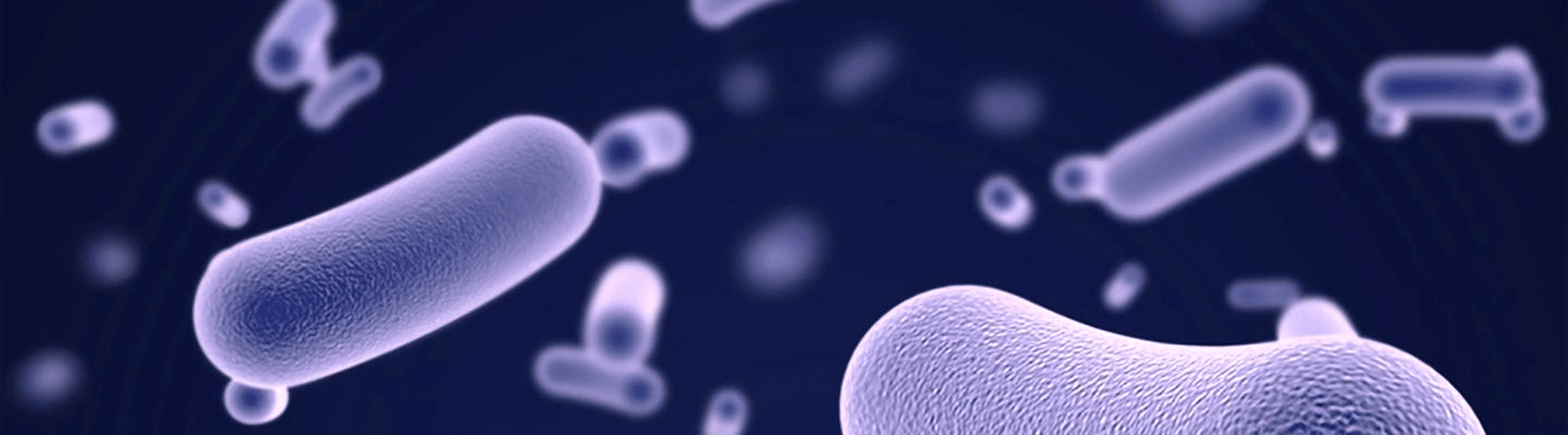 Исследование микробиоты