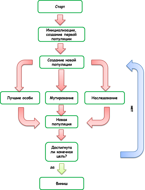Схема типичного эволюционного алгоритма